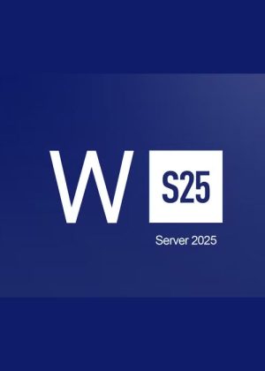 Windows Server 2025 Standard – clave digital