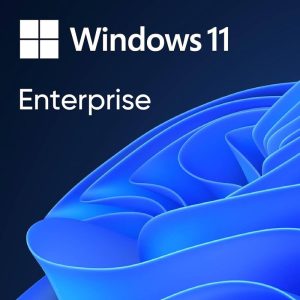Windows 11 Enterprise – clave digital